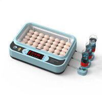 Máy ấp trứng gà Mini Kingbell KM36, ấp 36 quả/lần