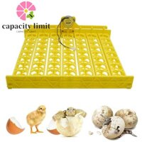 Máy ấp trứng GIỚI HẠN NĂNG LƯỢNG 56 Phụ kiện thổ cẩm bằng nhựa chất lượng cao tự động