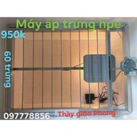 Máy ấp trứng hpe - tự động 60 trứng