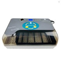 Máy ấp trứng kỹ thuật số Máy ấp trứng tự động với Eggtester Tự động biến trứng 12 quả trứng Máy ấp trứng gia cầm