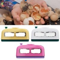 Máy ấp trứng Máy ấp trứng cho chim bồ câu