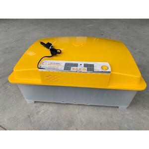 Máy ấp trứng mini - 50 trứng