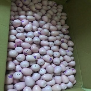 Máy ấp trứng mini - 50 trứng