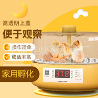 Máy ấp trứng mini cho chim cút, hộp ấp tự động hoàn toàn, máy ấp gà nhỏ, máy ấp thông minh gia đình có giường nước