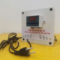 Máy ấp trứng mini cho gà vịt ngan ngỗng