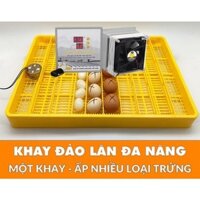 Máy ấp trứng mini kèm khay đảo tự động 54 trứng