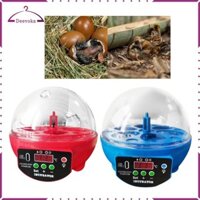 Máy ấp trứng Mini Tự động nở Thổ Cẩm Trang trại Chim cút Gà Gia cầm Trang trại Hatcher có đèn Gà nở USB