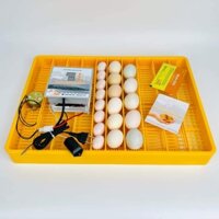 Máy Ấp Trứng P100 - Khay Nhựa Lăn.(60 Trứng)
