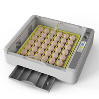 Máy ấp trứng thông minh cao cấp Kingbell KD36, ấp 36 trứng gà.