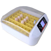 Máy ấp trứng thông minh cao cấp Kingbell KD56M, ấp 56 trứng, tỉ lệ nở 98%.