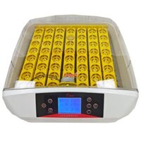 Máy ấp trứng thông minh cao cấp Kingbell KD56, ấp 56 trứng, tỉ lệ nở 98%.