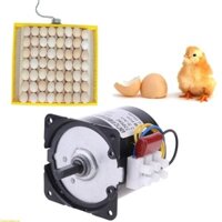 Máy ấp trứng tự động 220V tốt nhất Động cơ ấp trứng Động cơ có thể đảo ngược 2 5r phút