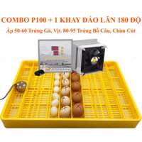 Máy Ấp Trứng Tự Động 50 trứng