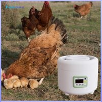 Máy ấp trứng tự động Dễ sử dụng cho chim bồ câu vịt gia đình