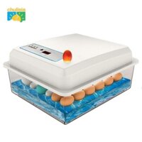 Máy ấp trứng tự động Trứng Turner Kiểm soát nhiệt độ Gà để nở gà cút