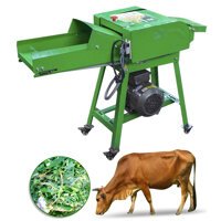 Máy băm cỏ voi, cây ngô băng tải 3A2,2KW an toàn tuyệt đối, năng suất 500Kgh