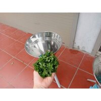 Máy băm rau bèo làm thức ăn chăn nuôi heo phễu INOX