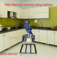 Máy bào rau muống công nghiệp