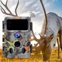 Máy bẫy ảnh cao cấp tích hợp WiFi Terino RD30-4K Pro (30 MP, Video 4K, Xem hình ảnh trên LCD hoặc qua Wifi, đèn IR 940nm không phát hiện) - Hàng chính hãng