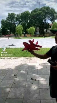 Máy bay điều khiển từ xa trên không cho bé mô phỏng tiêm kích su35,su27