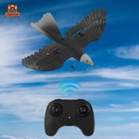 Máy bay PRdolo RC Eagle có đèn LED cất cánh mặt đất Dễ dàng điều khiển Máy bay chiến đấu 2.4G