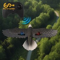 Máy bay Sharprepublic RC Eagle có máy bay chiến đấu điều khiển cho người mới bắt đầu Người lớn Trẻ em