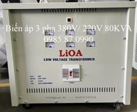 Máy Biến Áp 3 Pha 380V/ 220V 80KVA LiOA 3K801M2YH5YT