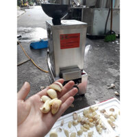 MÁY BÓC VỎ TỎI GIA ĐÌNH 30KG/H INOX 304