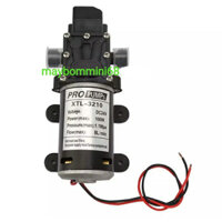 Máy bơm áp lực 12v/24v-100w 8L