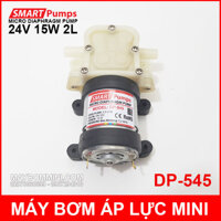 Máy bơm áp lực mini 24V 15W 2L Smartpumps DP-545