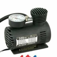 Máy bơm áp suất mini lốp ô tô DC12V 300psi D00-288