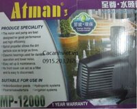 Máy bơm Atman MP-12000