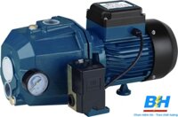 Máy Bơm Bán Chân Không 2 Họng 1HP Maxwin MWJ-HS750