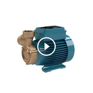 Máy bơm bánh răng Calpeda B-CT 61/A