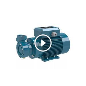 Máy bơm bánh răng Calpeda TM 61E