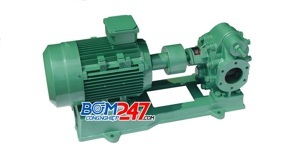 Máy bơm bánh răng KCB 483.3