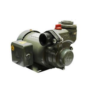 Máy bơm bánh răng vỏ gang đầu gang NTP HCP225-1.25 265T