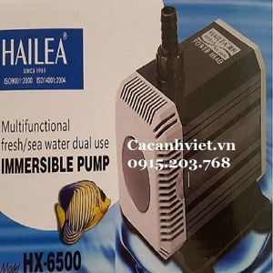Máy bơm bể cá Hailea HX-6500