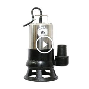 Máy bơm chìm hút bùn thân inox NTP HSF250-1.75 205 1HP