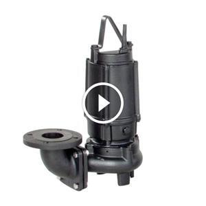Máy bơm chìm hút nước thải Ebara 80DVS 51.5 2HP
