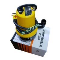 Máy bơm chìm mini 12V(bơm thả)