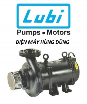 Máy bơm chìm trục ngang Lubi LHL- 6 - 3.7kw