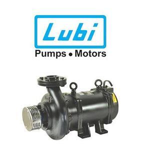 Máy bơm chìm trục ngang LUBI LHS-20 10HP