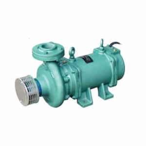 Máy bơm chìm trục ngang Lubi LHL-3 3 HP