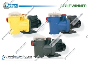 Máy bơm cho hồ bơi Saci WINNER 100 M 1 HP