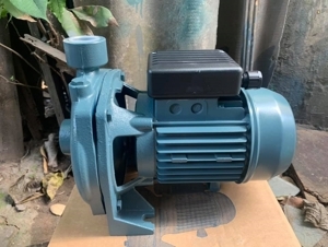 Máy bơm dân dụng Elanta STM 6