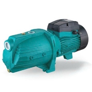 Máy bơm đầu lợn Lepono AJM150