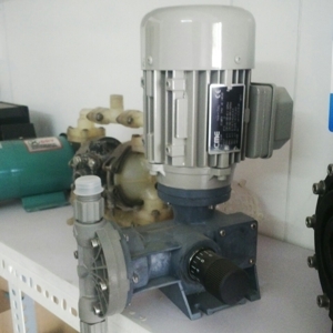 Máy bơm định lượng Doseuro D 101N-120/C-13 0.25 KW