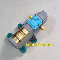 Máy bơm đơn Sinleader 12V dùng phun thuốc