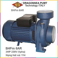 Máy bơm Dragonsea 3HP họng 114